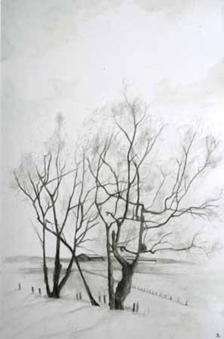 Tree Drawing, 2007 (mixed media on paper)